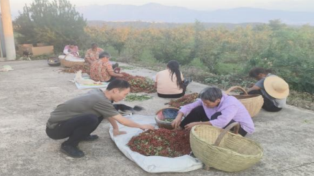 乡村振兴工作动态(第172期)